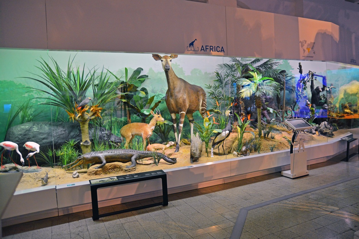 Your Website Is Not a Museum Exhibit. Stop Treating It Like One.